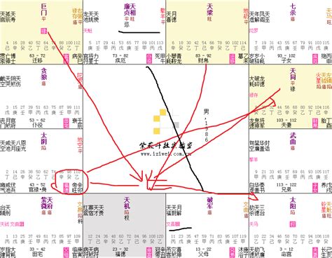 日月反背格桃花|日月反背格